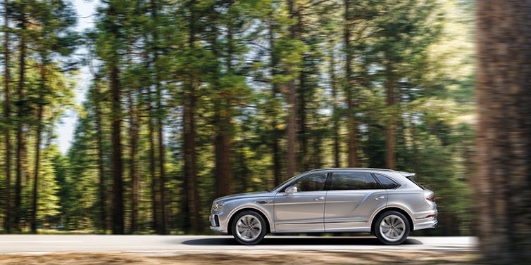 Bentley Barcelona Bentley Bentayga Extended Wheelbase SUV in Moonbeam paint driving dynamically on a forest road